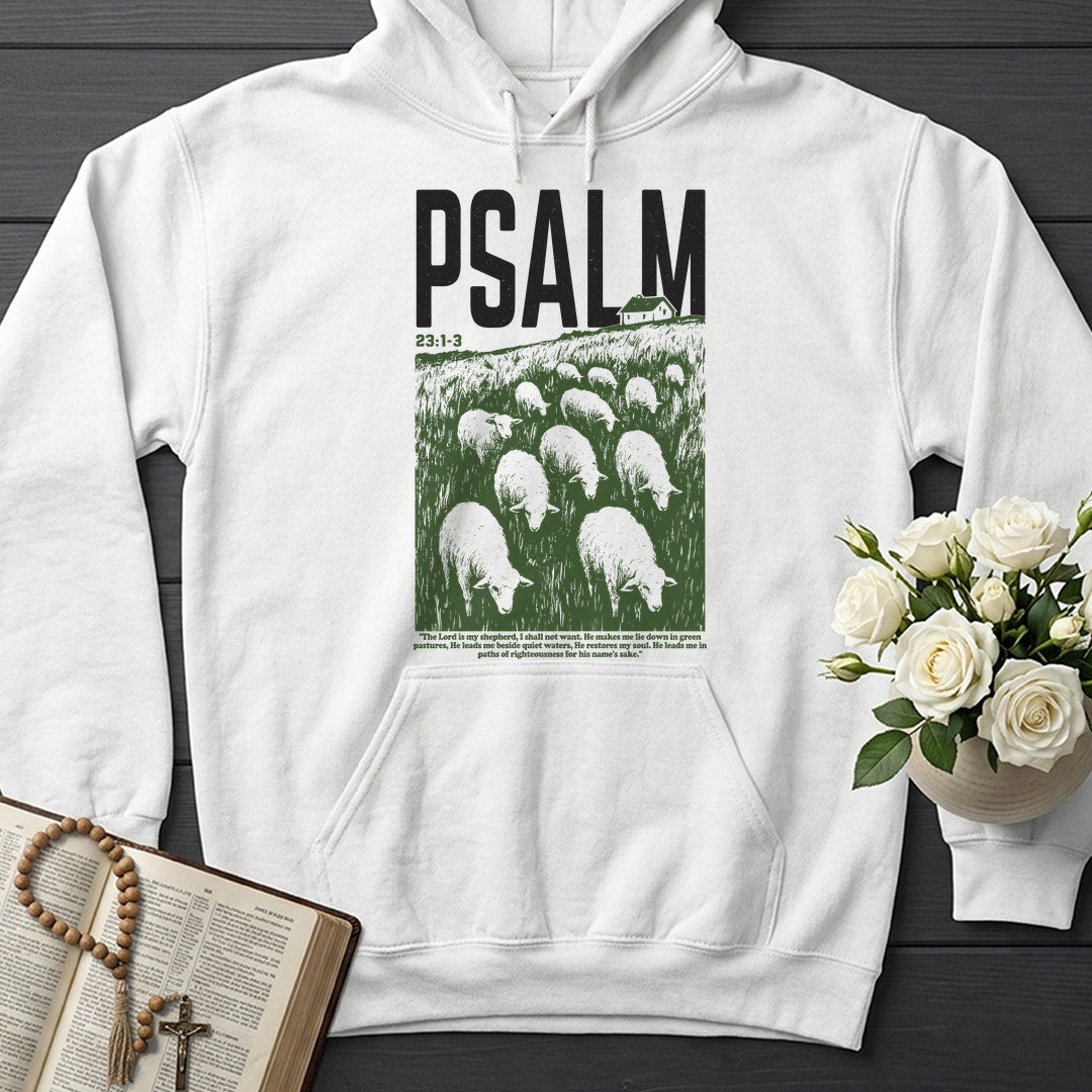 The Lord Is My Shepherd Psalm 21.1-3 14