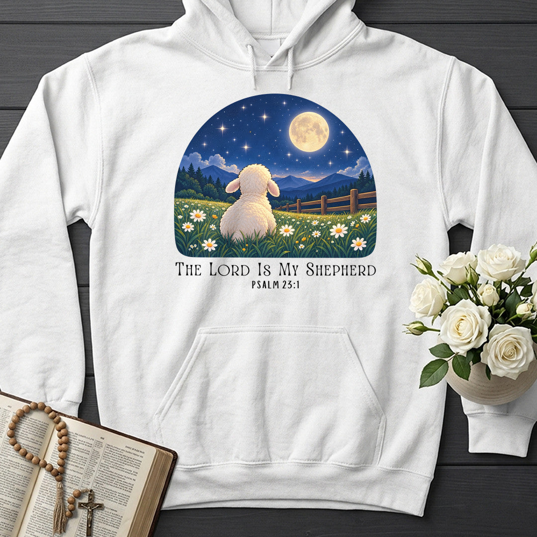 The Lord Is My Shepherd Psalm 23.1 19