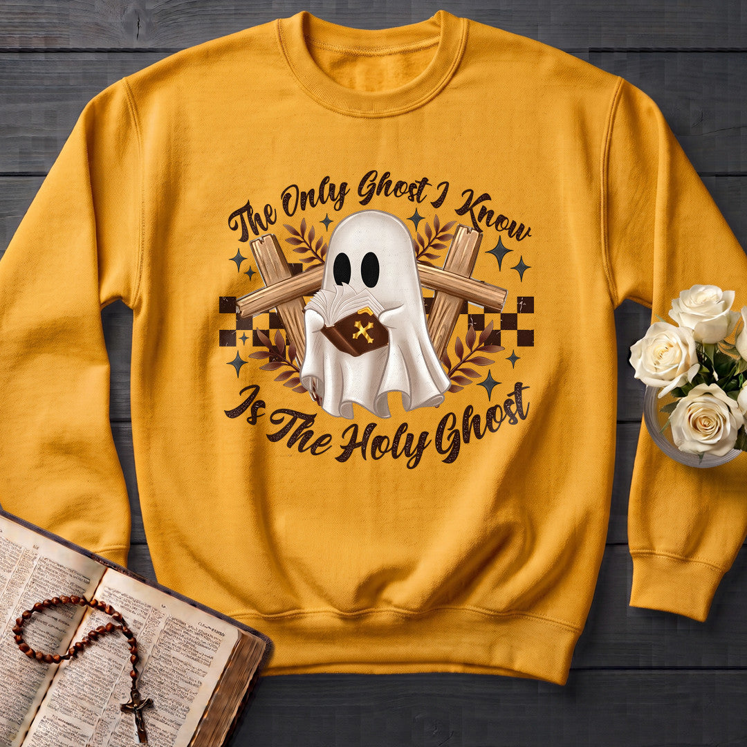 The Only Ghost I Know Is The Holy Ghost 07