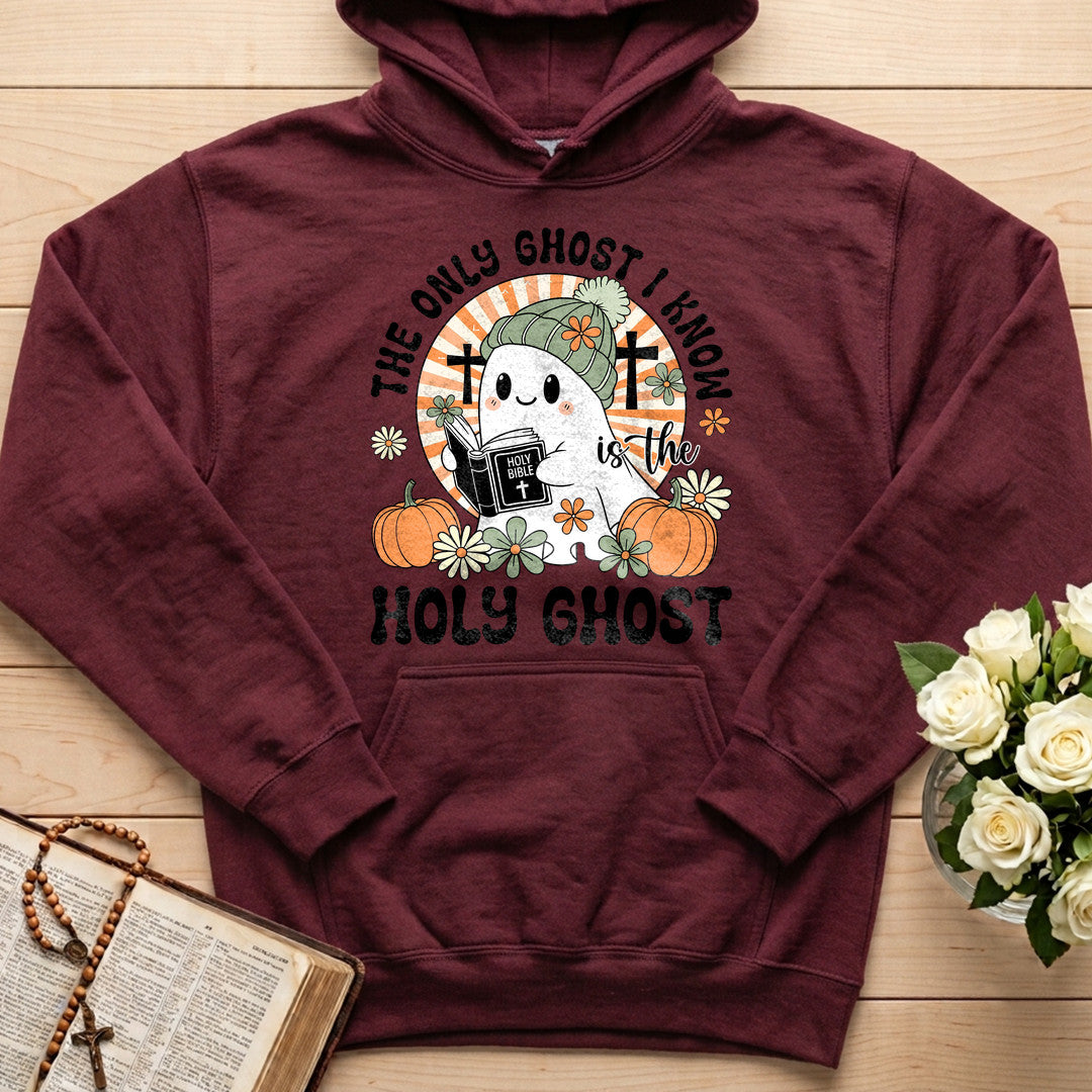 The Only Ghost I Know Is The Holy Ghost 10