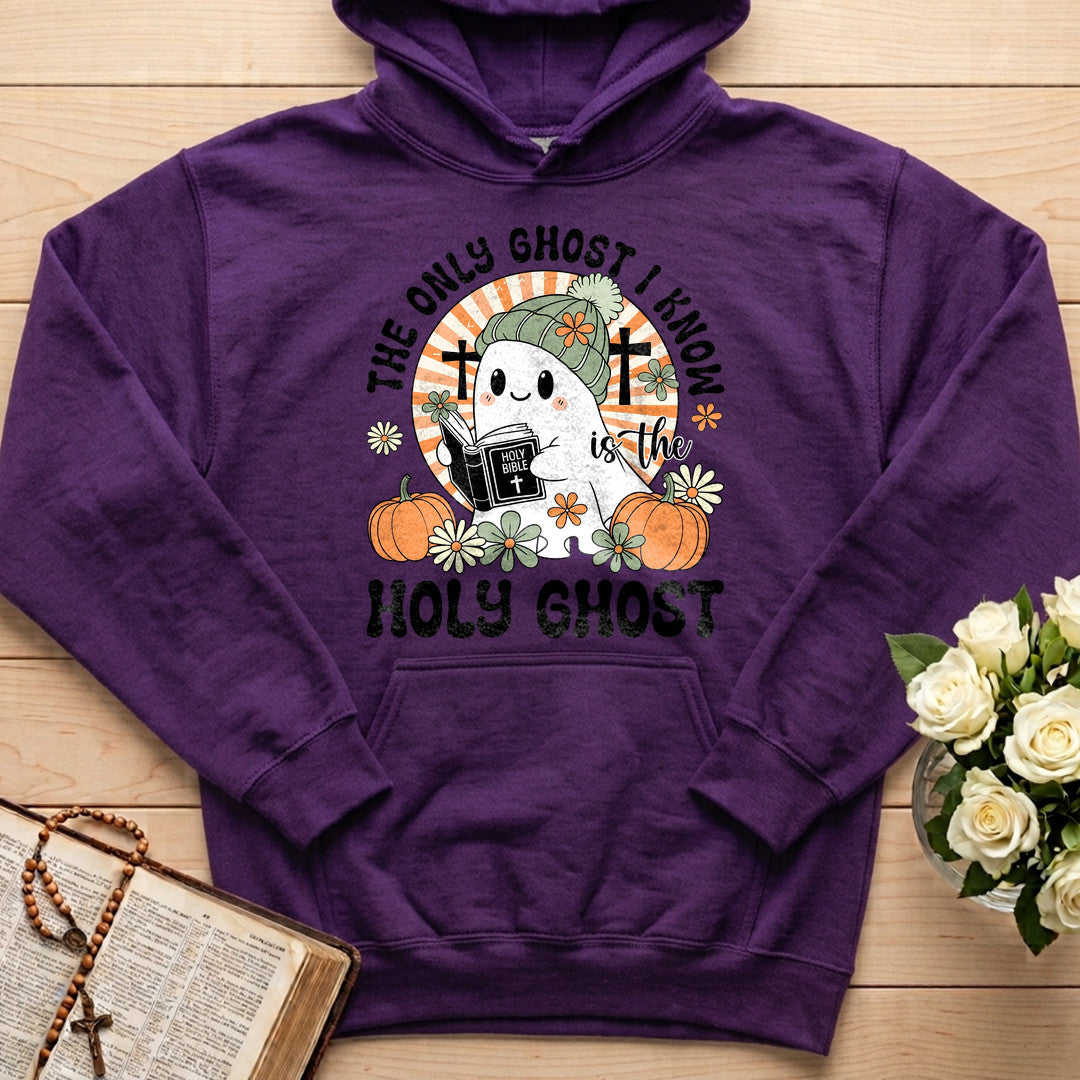 The Only Ghost I Know Is The Holy Ghost 10