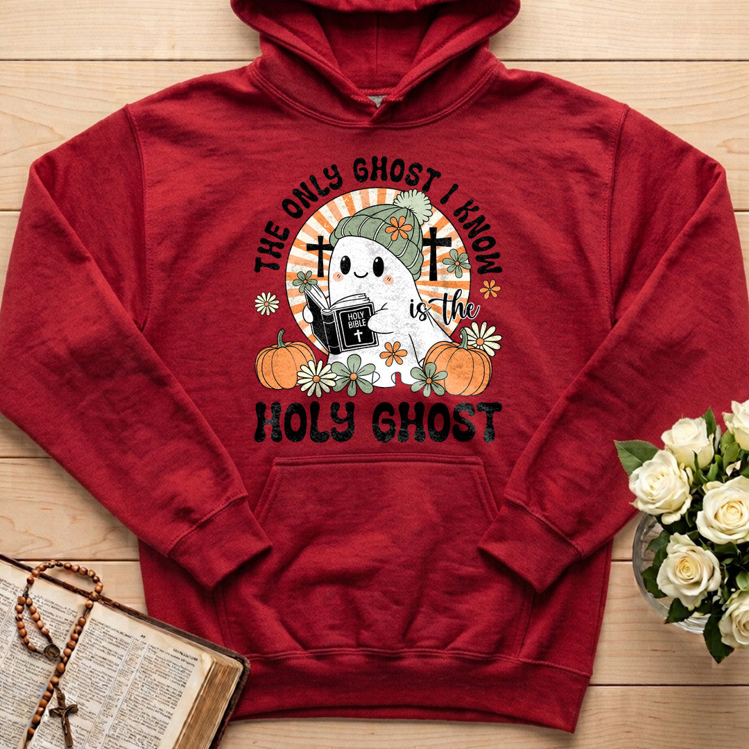 The Only Ghost I Know Is The Holy Ghost 10