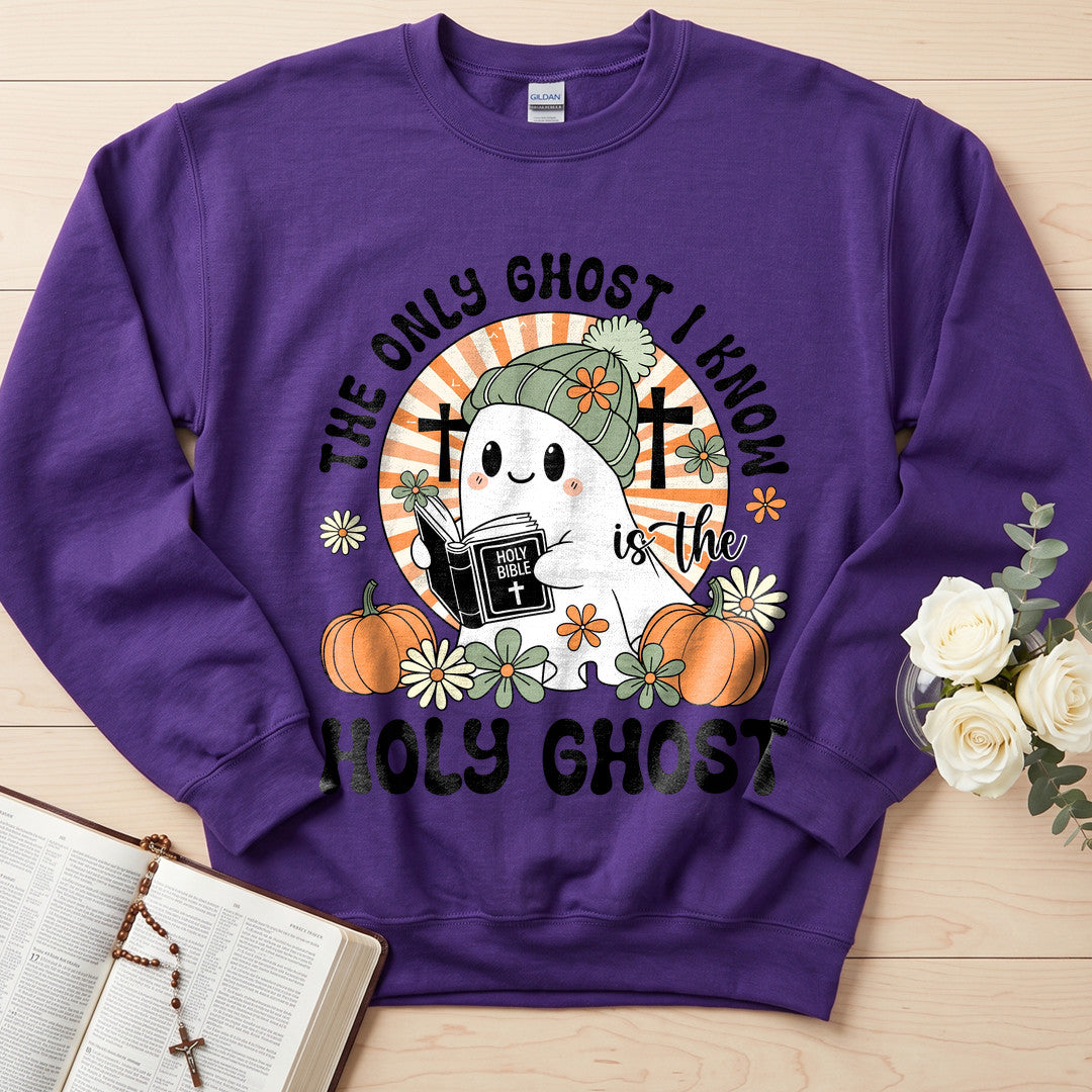 The Only Ghost I Know Is The Holy Ghost 10