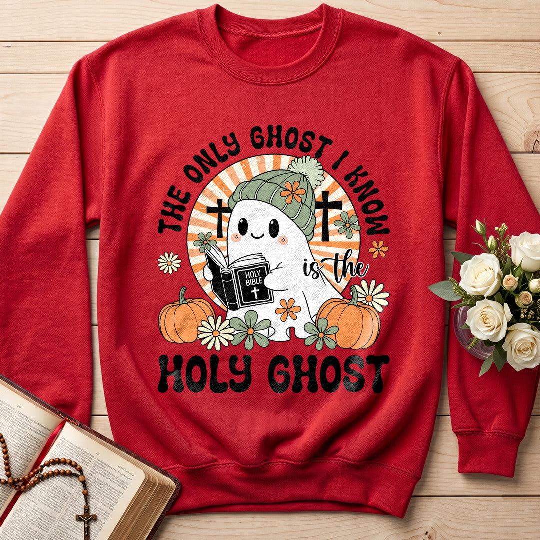 The Only Ghost I Know Is The Holy Ghost 10