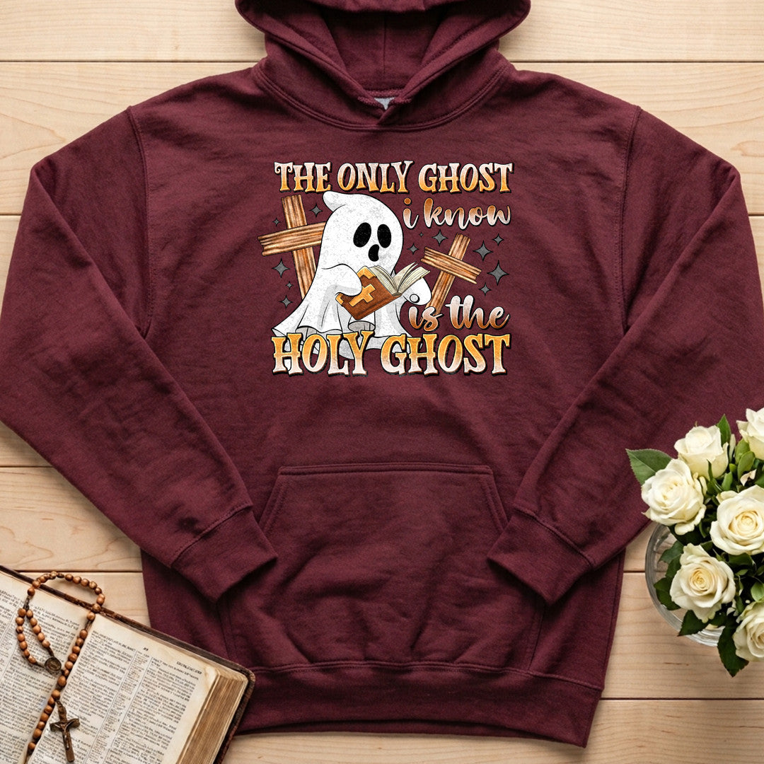 The Only Ghost I Know Is The Holy Ghost 11