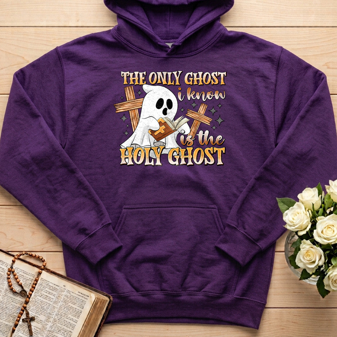 The Only Ghost I Know Is The Holy Ghost 11