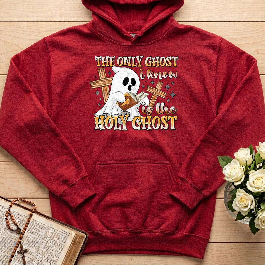 The Only Ghost I Know Is The Holy Ghost 11