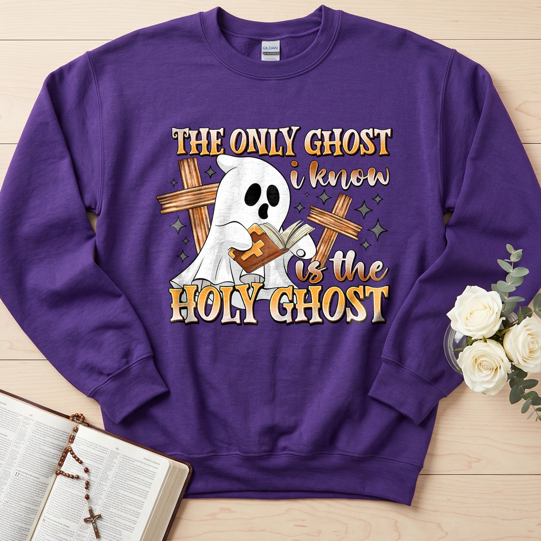 The Only Ghost I Know Is The Holy Ghost 11