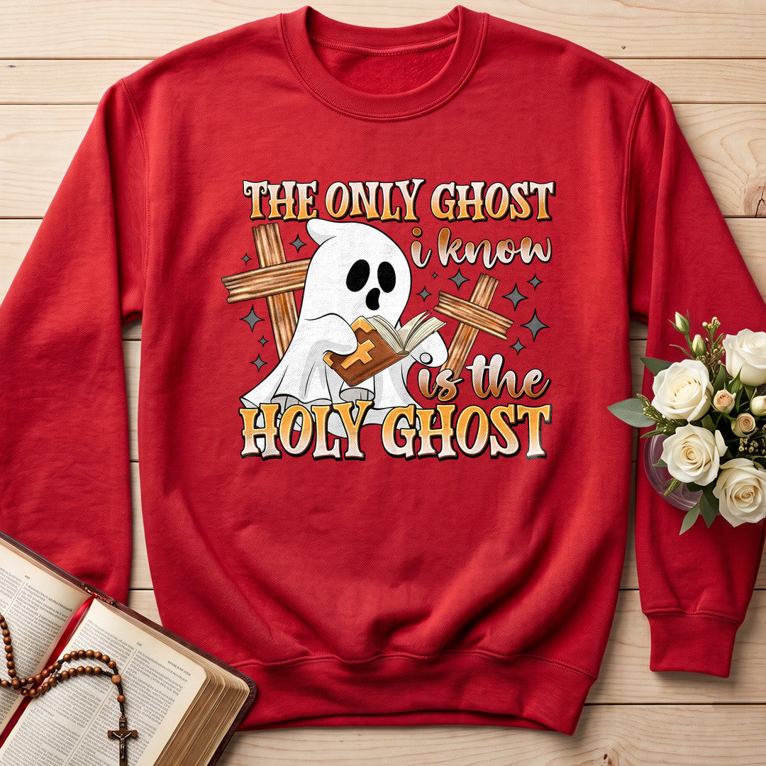 The Only Ghost I Know Is The Holy Ghost 11