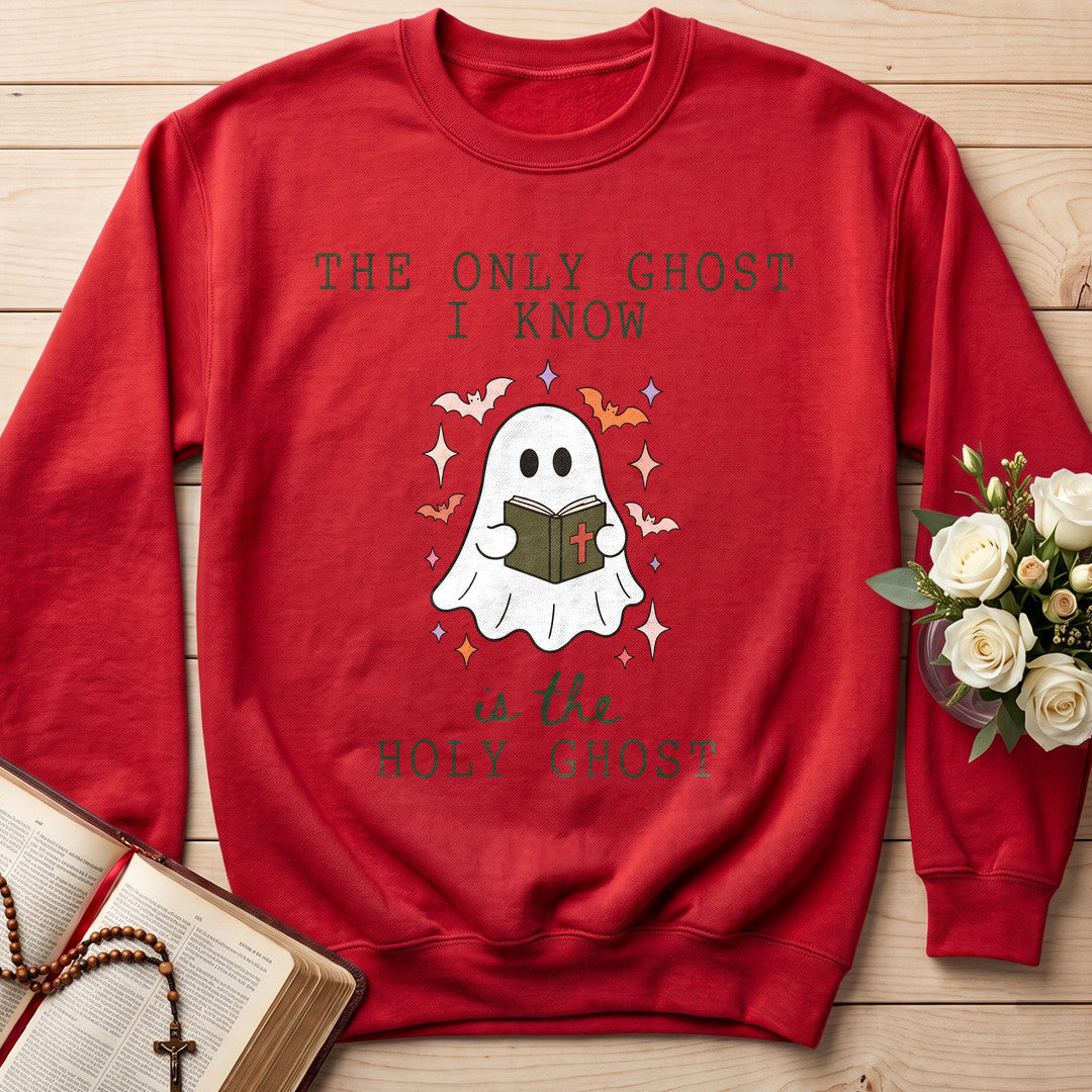 The Only Ghost I Know Is The Holy Ghost 14