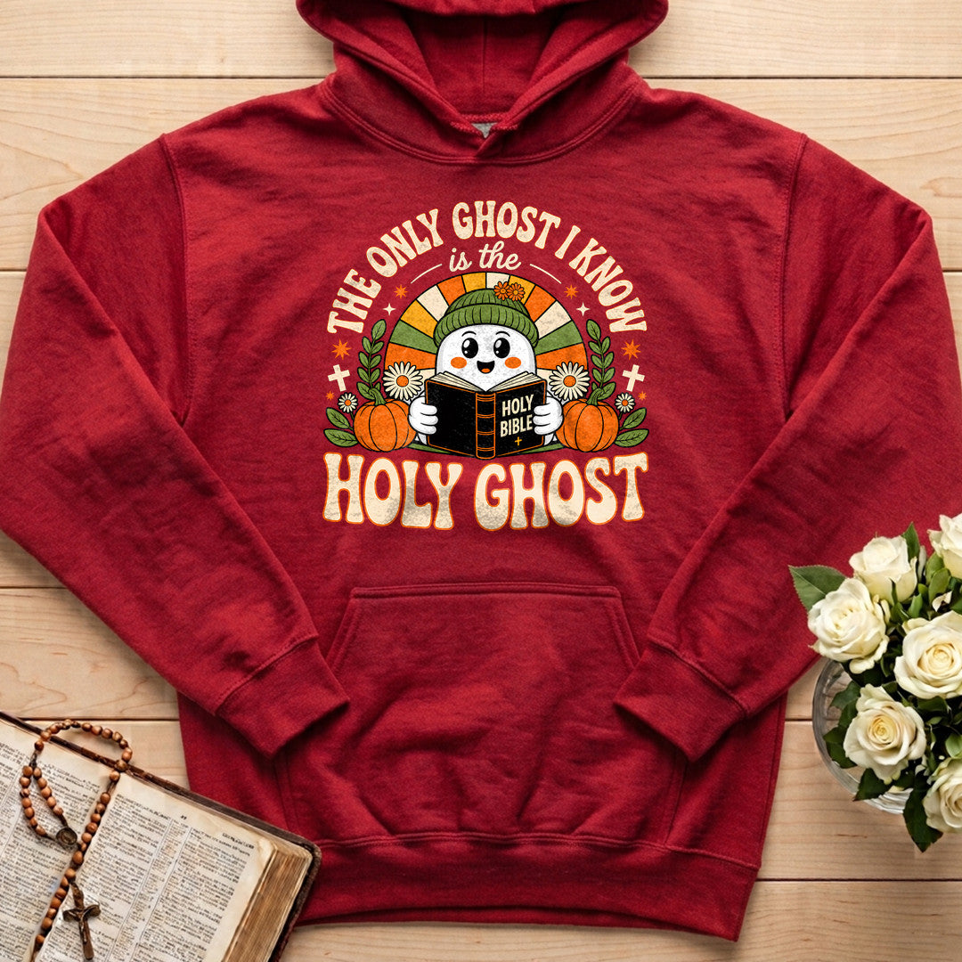 The Only Ghost I Know Is The Holy Ghost 16