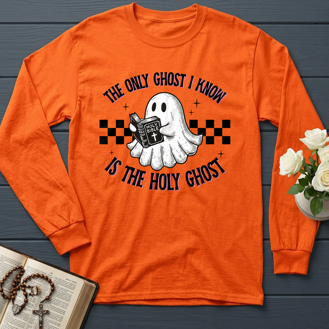The Only Ghost I Know Is The Holy Ghost 19
