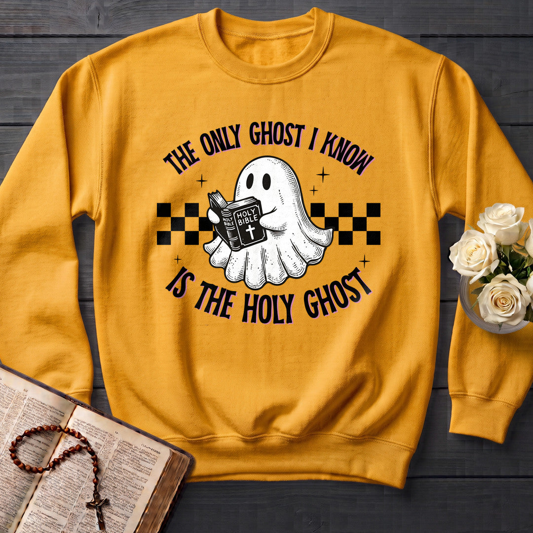 The Only Ghost I Know Is The Holy Ghost 19