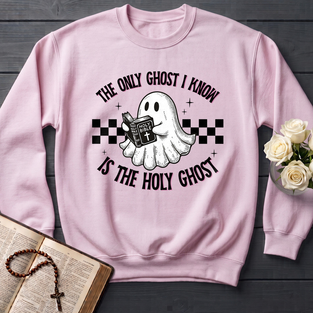 The Only Ghost I Know Is The Holy Ghost 19