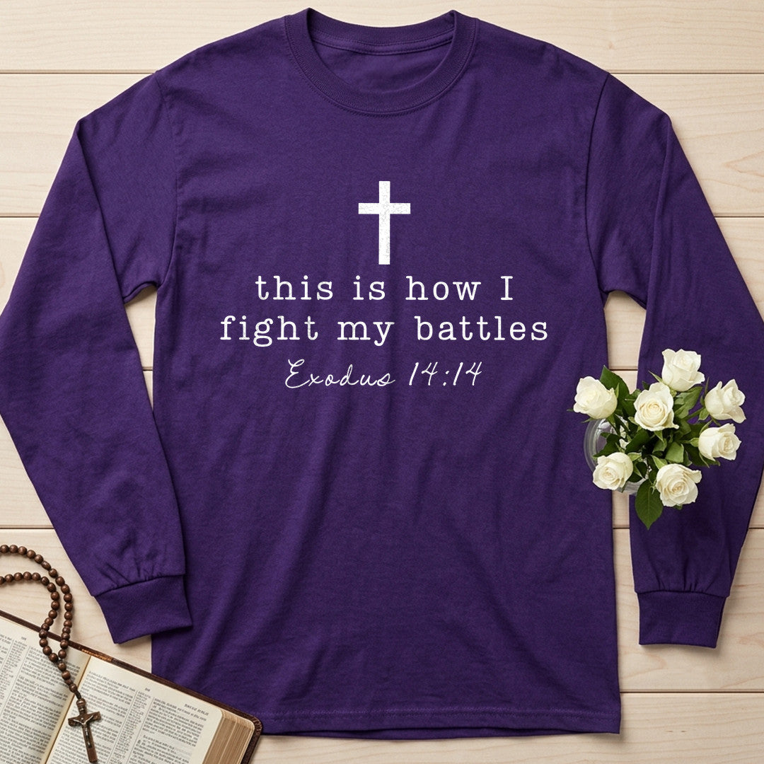 This Is How I Fight My Battles Exodus 14.14 01