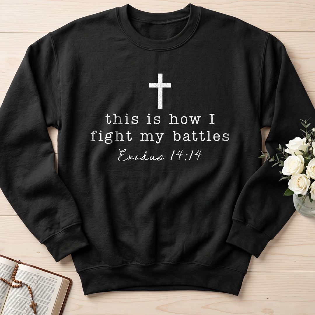 This Is How I Fight My Battles Exodus 14.14 01