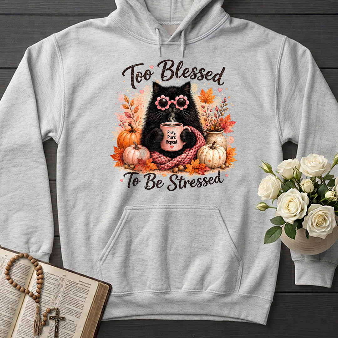 Too Blessed To Be Stressed 01