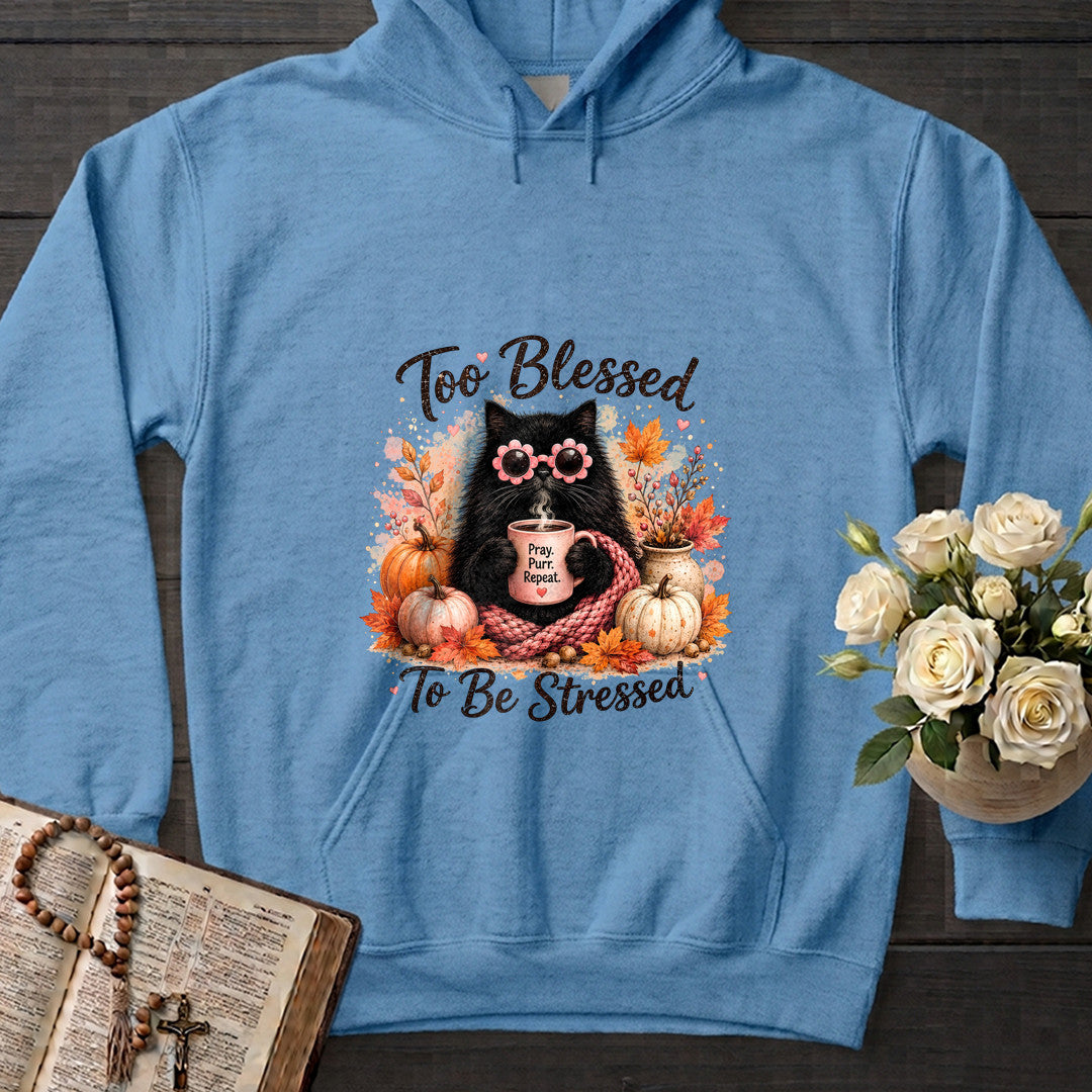Too Blessed To Be Stressed 01