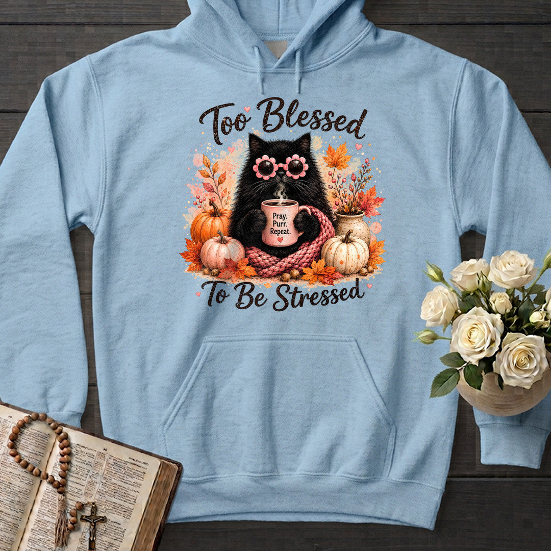Too Blessed To Be Stressed 01