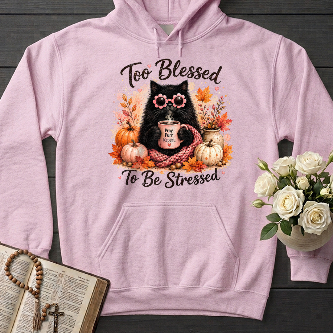 Too Blessed To Be Stressed 01