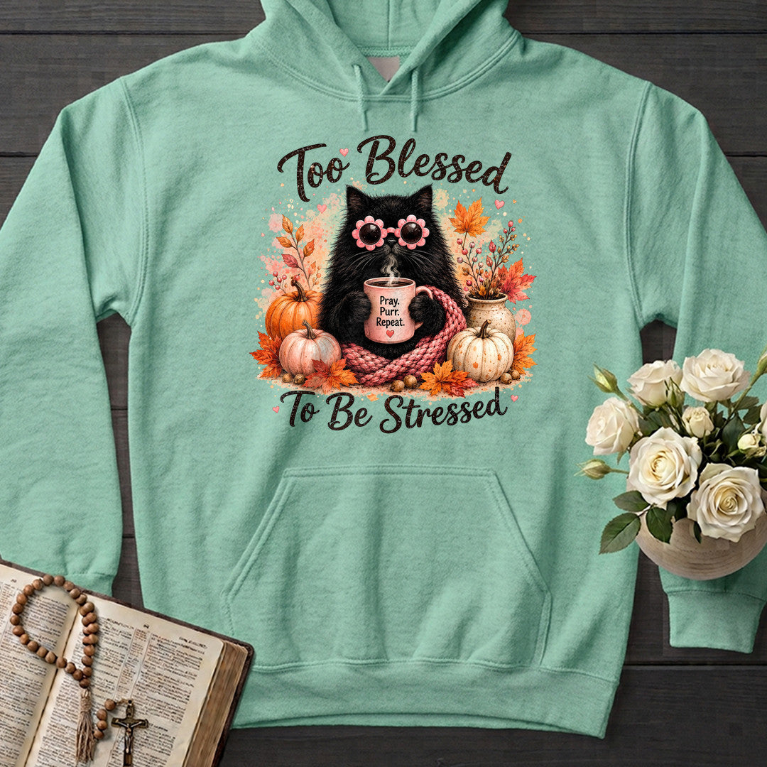 Too Blessed To Be Stressed 01