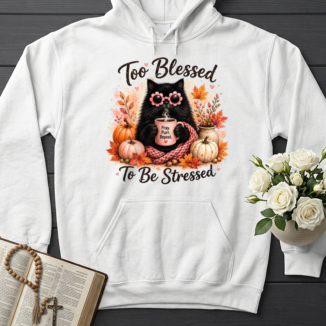 Too Blessed To Be Stressed 01