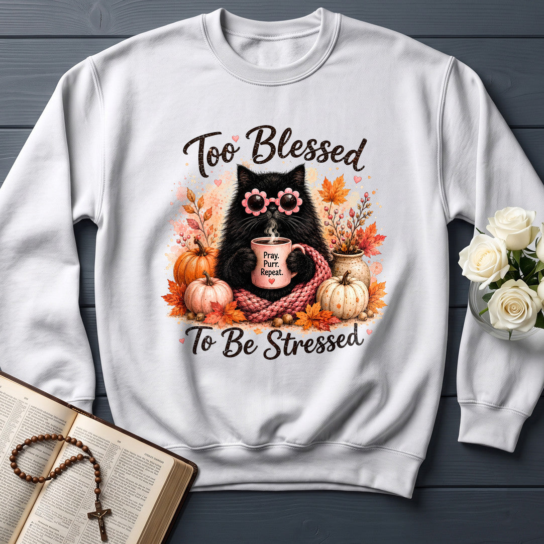 Too Blessed To Be Stressed 01