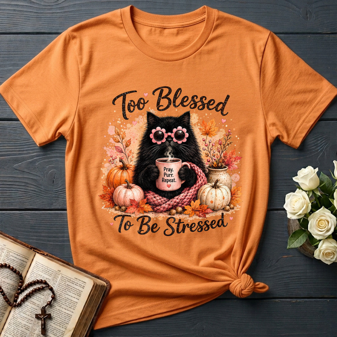 Too Blessed To Be Stressed 01