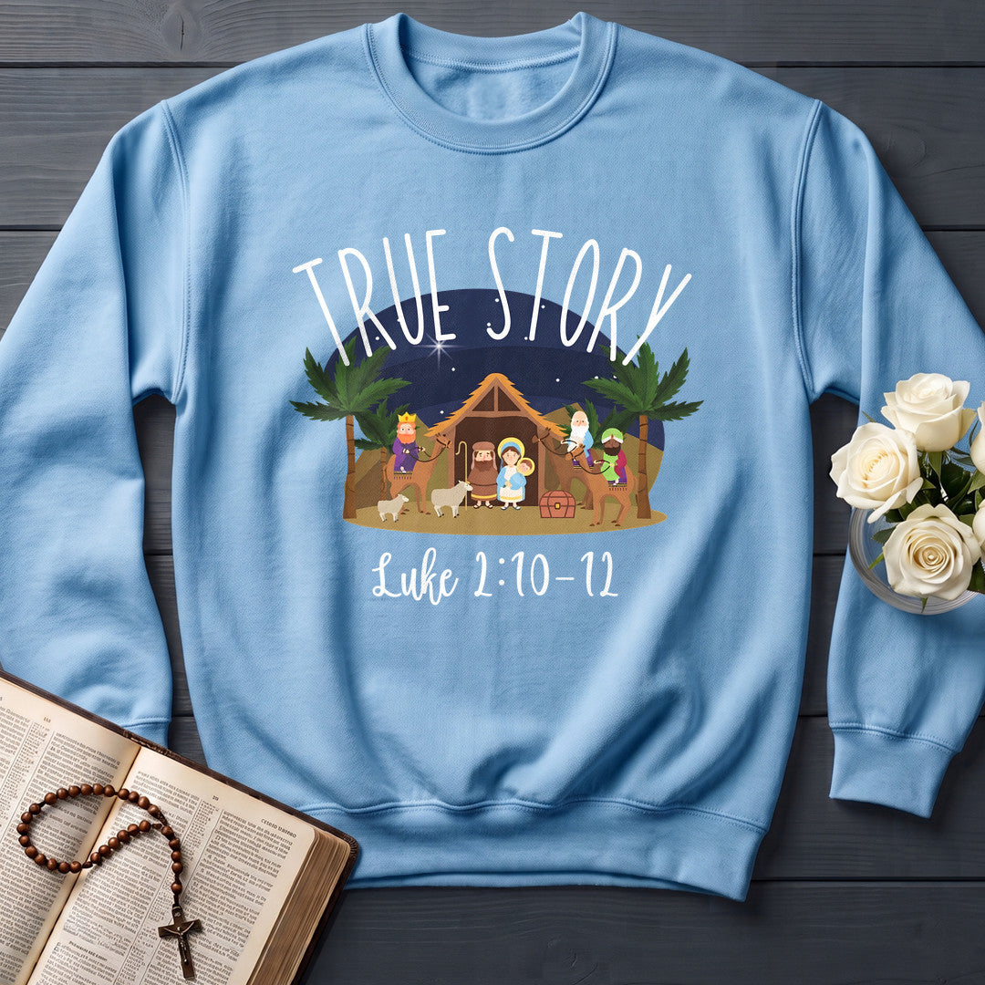 True Story Luke 2.10-12 01