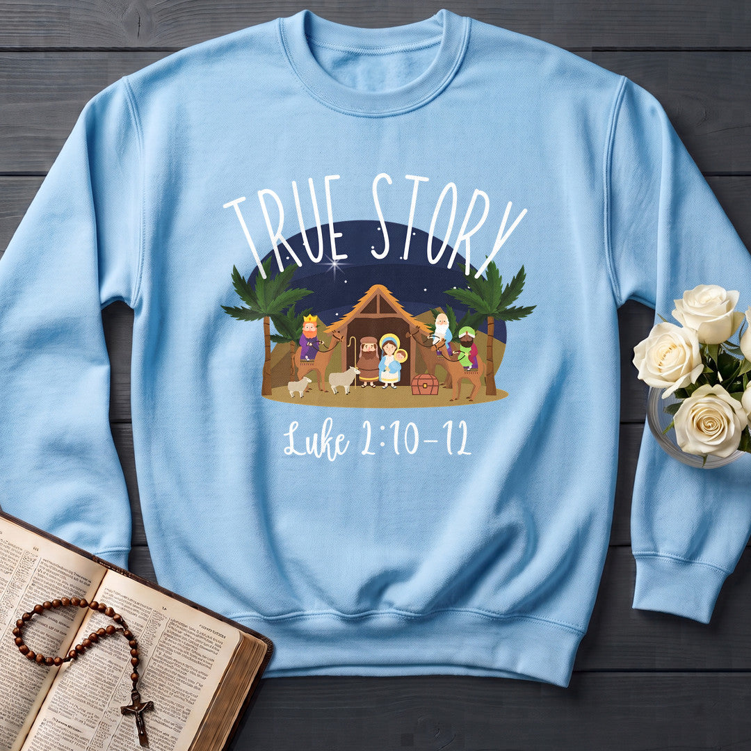 True Story Luke 2.10-12 01