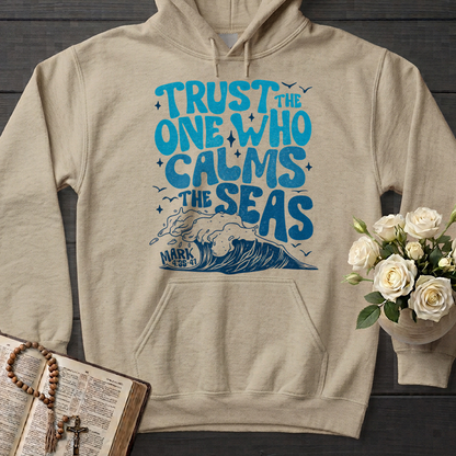 Trust The One Who Calms The Seas Mark 4.35-41 01