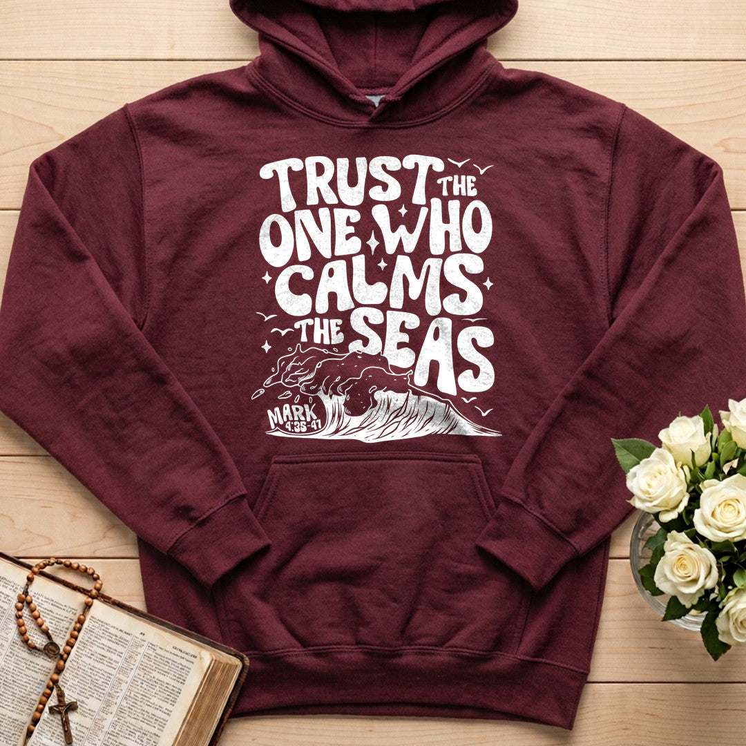 Trust The One Who Calms The Seas Mark 4.35-41 02