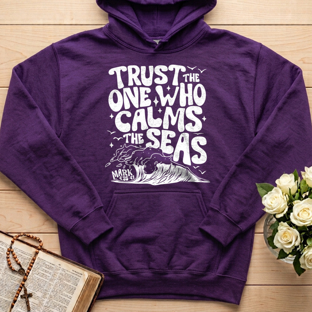 Trust The One Who Calms The Seas Mark 4.35-41 02