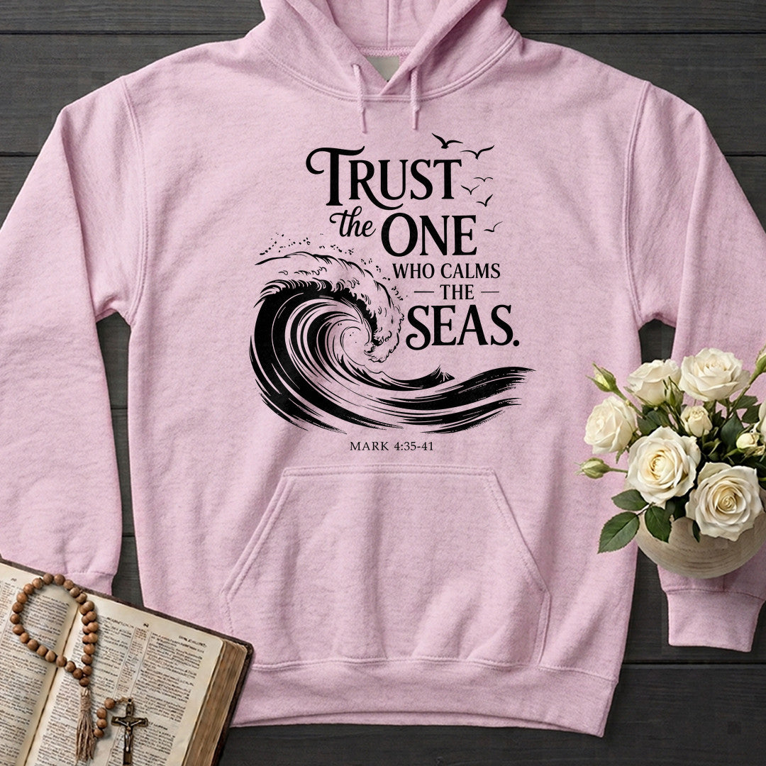 Trust The One Who Calms The Seas Mark 4.35-41 03