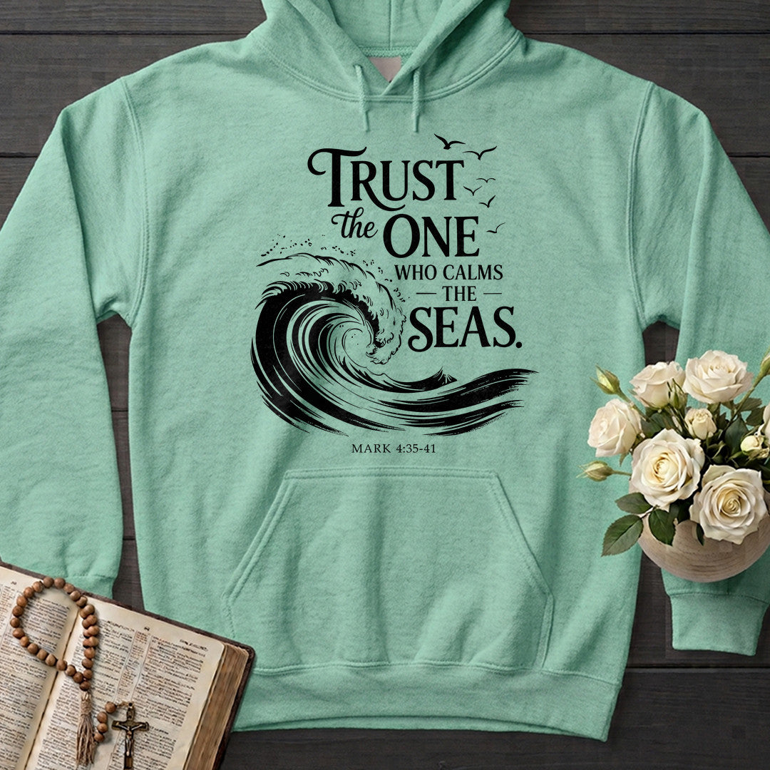 Trust The One Who Calms The Seas Mark 4.35-41 03