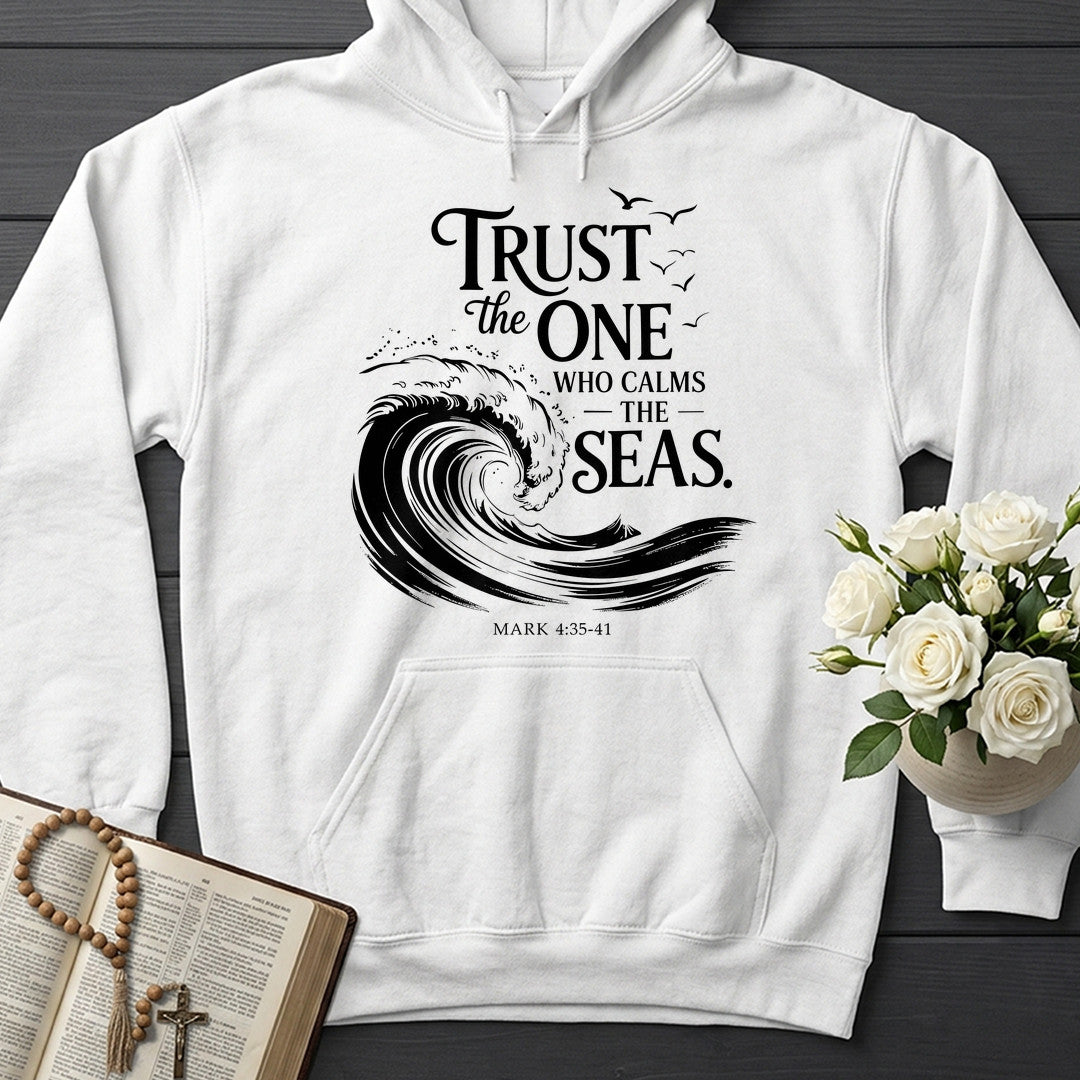 Trust The One Who Calms The Seas Mark 4.35-41 03
