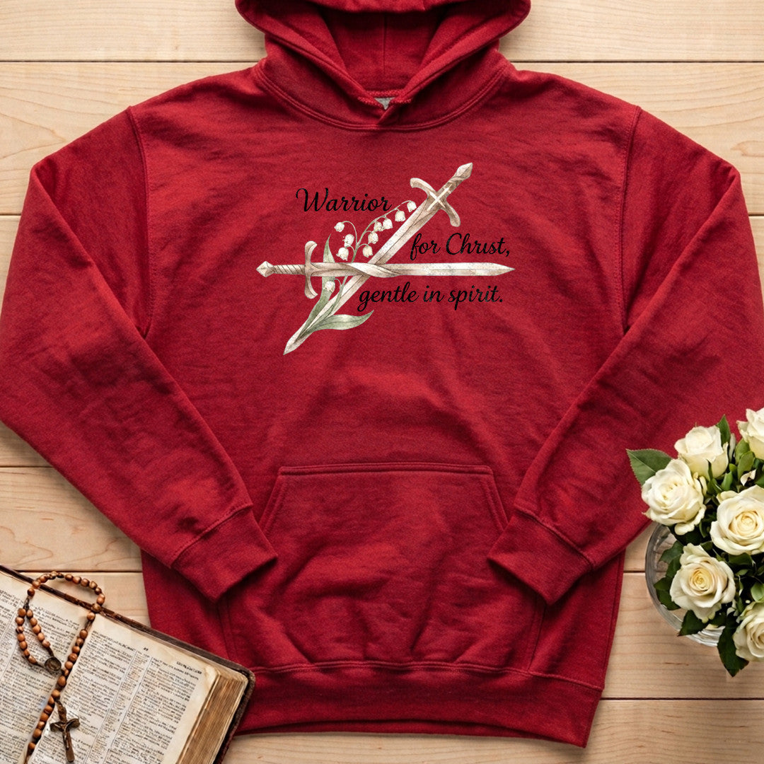 Warrior For Christ Gentle In Spirit 01