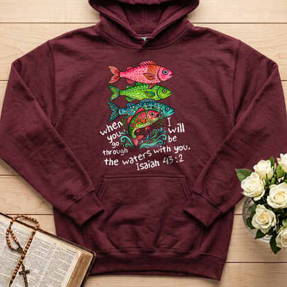 When You Go Through I Will Be With You The Waters Isaiah 43.2 01