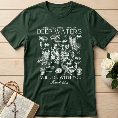 When You Pass Through Deep Waters I Will Be With You Isaiah 43.2 04