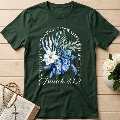 When You Pass Through Deep Waters I Will Be With You Isaiah 43.2 17