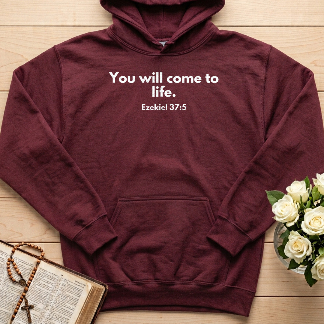 You Will Come To Life Ezekiel 37.5 01